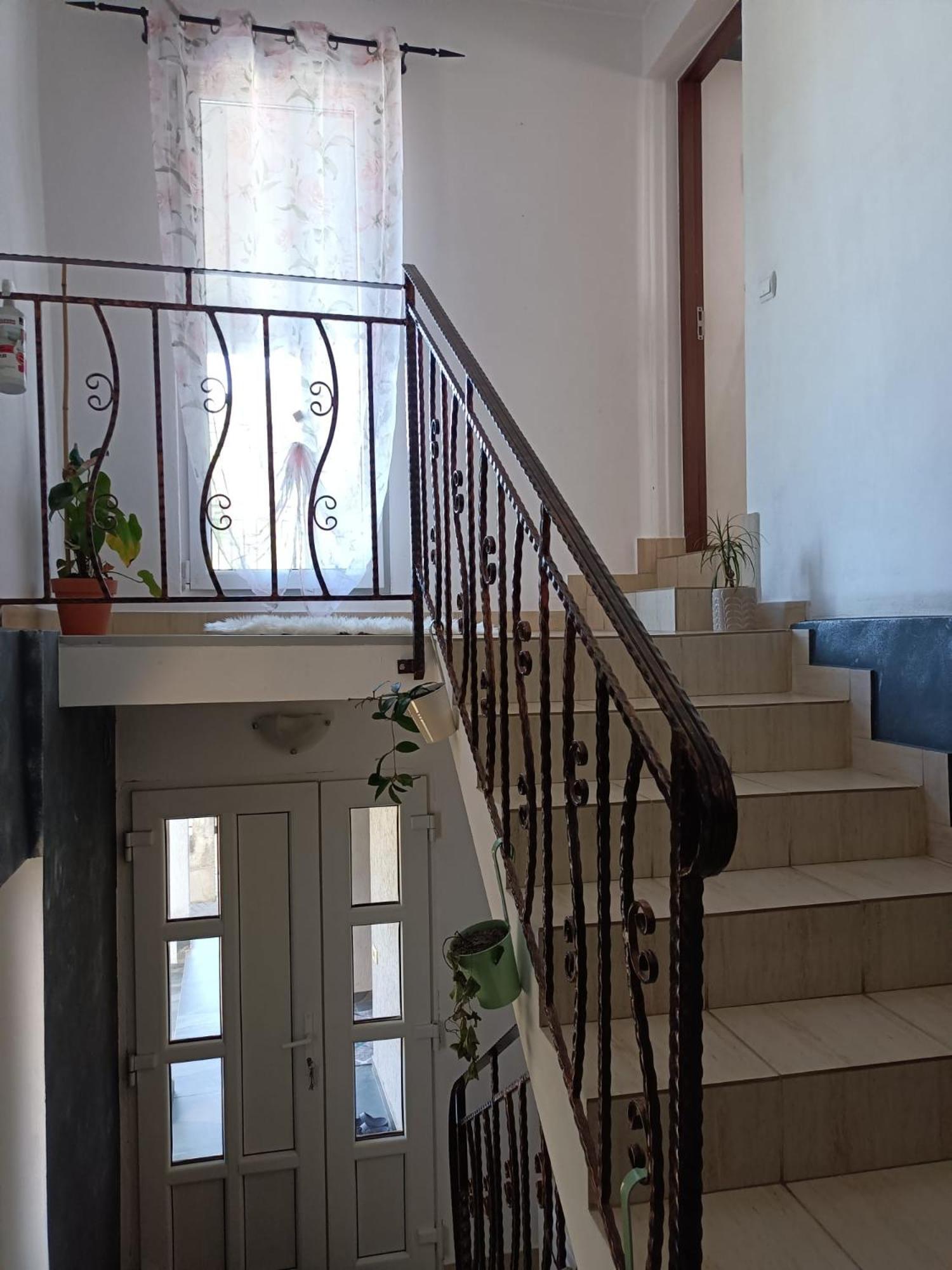 فندق Casa Valentina Vişeu de Sus المظهر الخارجي الصورة